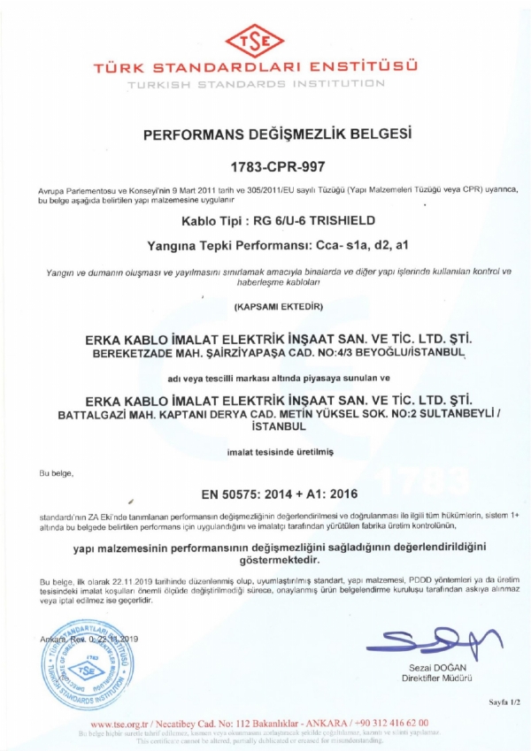 CPR Belgeleri